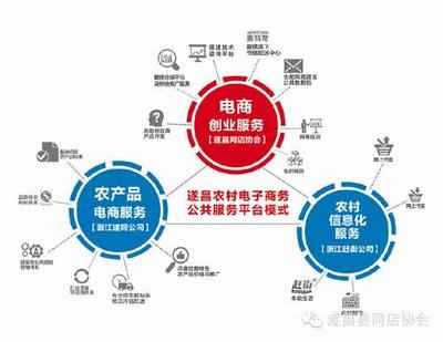 農(nóng)村電子商務(wù)的“遂昌模式” “協(xié)會(huì)+公司”驅(qū)動(dòng)電商服務(wù)創(chuàng)新