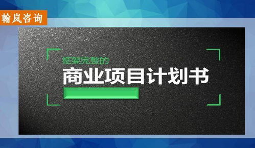 婁底電子商務項目計劃書專業策撰服務指南 找誰做更靠譜？